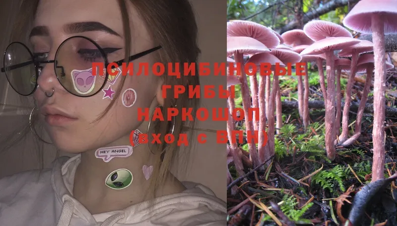 МЕГА вход  Апшеронск  Галлюциногенные грибы Magic Shrooms 